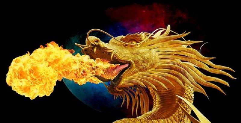 Detail Ular Naga Api Nomer 16