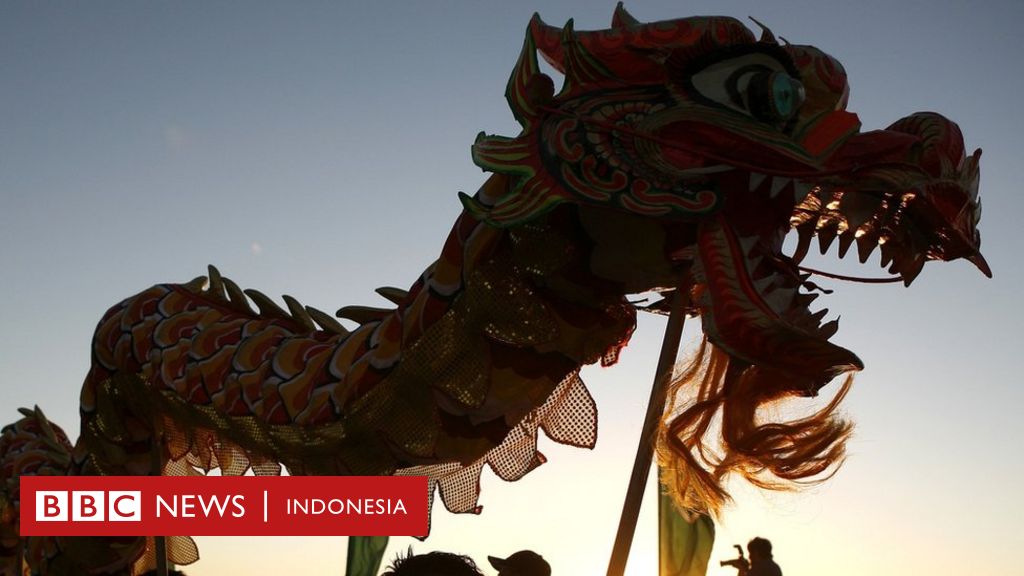 Detail Ular Naga Api Nomer 40