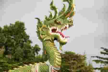 Detail Ular Naga Api Nomer 6