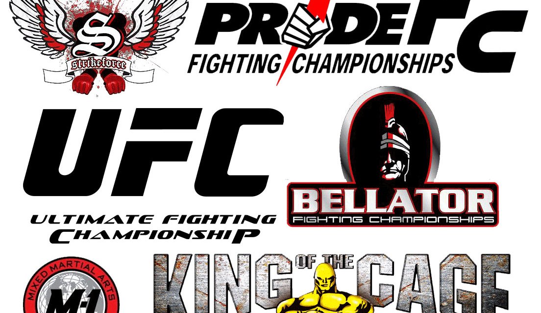 Detail Ultimate Fighting Championship Logo Nomer 41