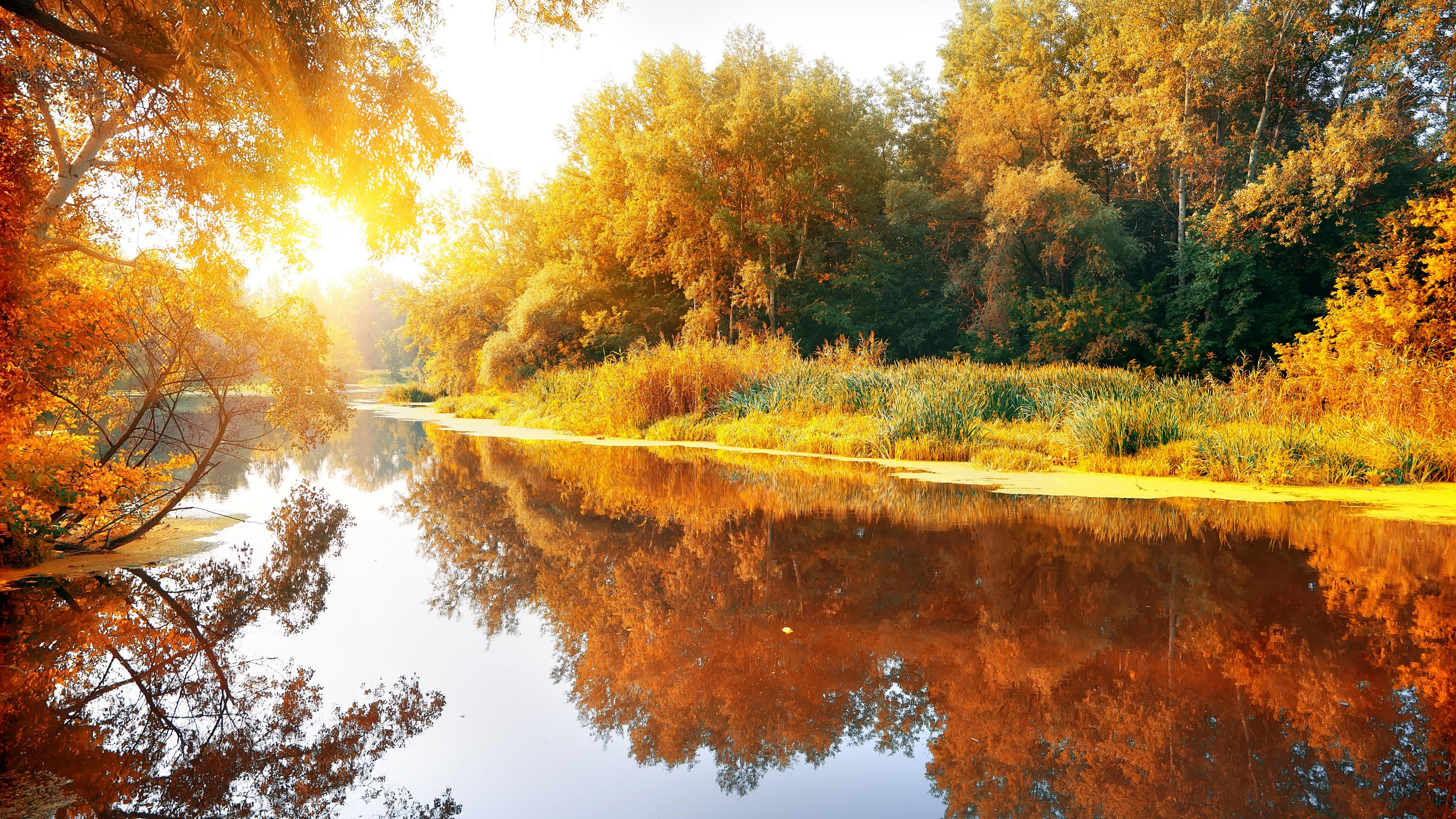 Detail Ultra Hd Wallpapers 8k Resolution 7680x4320 And 4k Resolution 3840x2160 Nomer 36