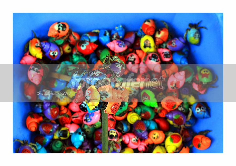 Detail Umang Umang Warna Warni Nomer 27