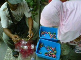 Detail Umang Umang Warna Warni Nomer 29