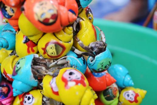 Detail Umang Umang Warna Warni Nomer 30
