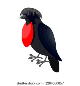 Detail Umbrella Bird Clipart Nomer 10