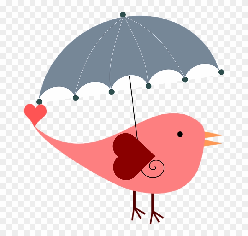 Detail Umbrella Bird Clipart Nomer 11