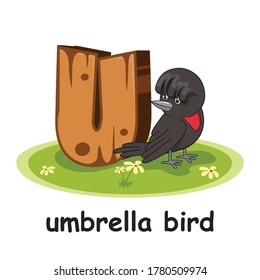 Detail Umbrella Bird Clipart Nomer 34