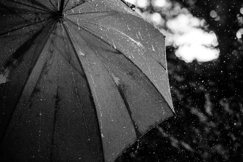 Detail Umbrella Pic Nomer 43