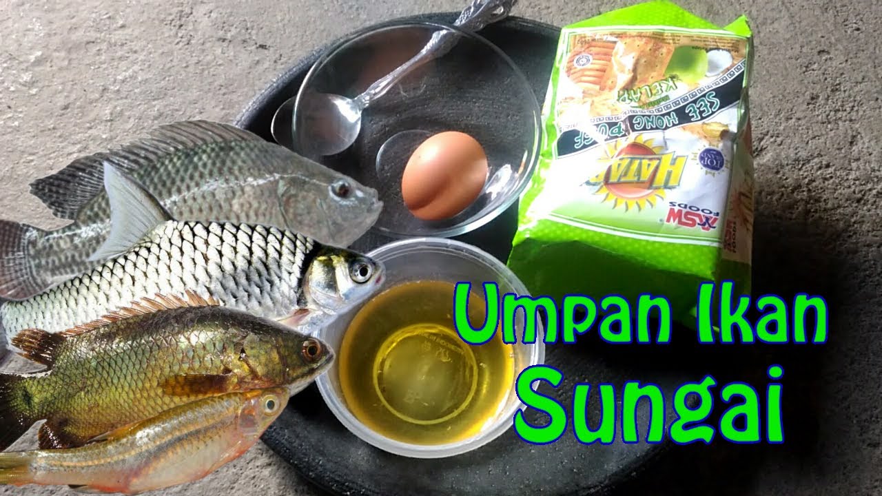 Detail Umpan Ikan Di Sungai Nomer 21