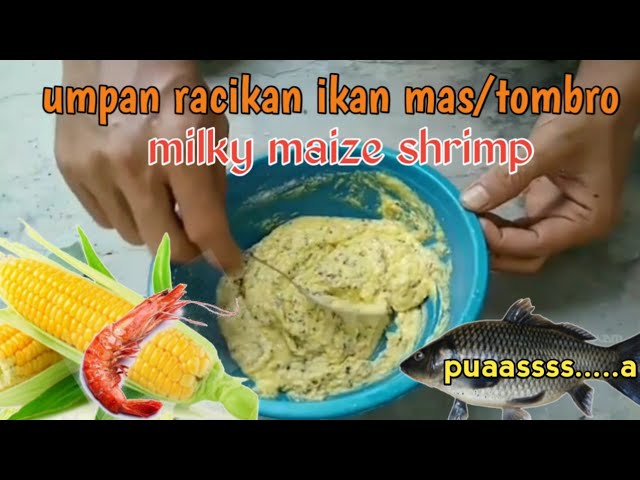 Detail Umpan Jagung Manis Nomer 23