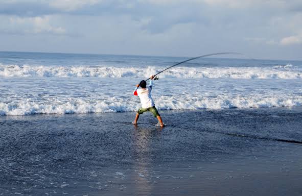 Detail Umpan Mancing Di Dermaga Laut Nomer 33