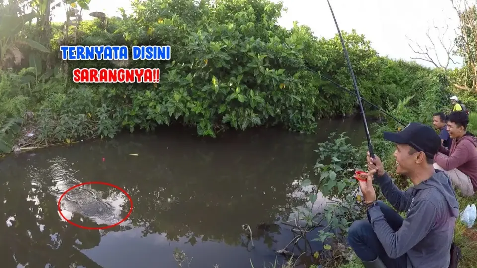 Detail Umpan Mancing Di Sungai Kecil Nomer 20