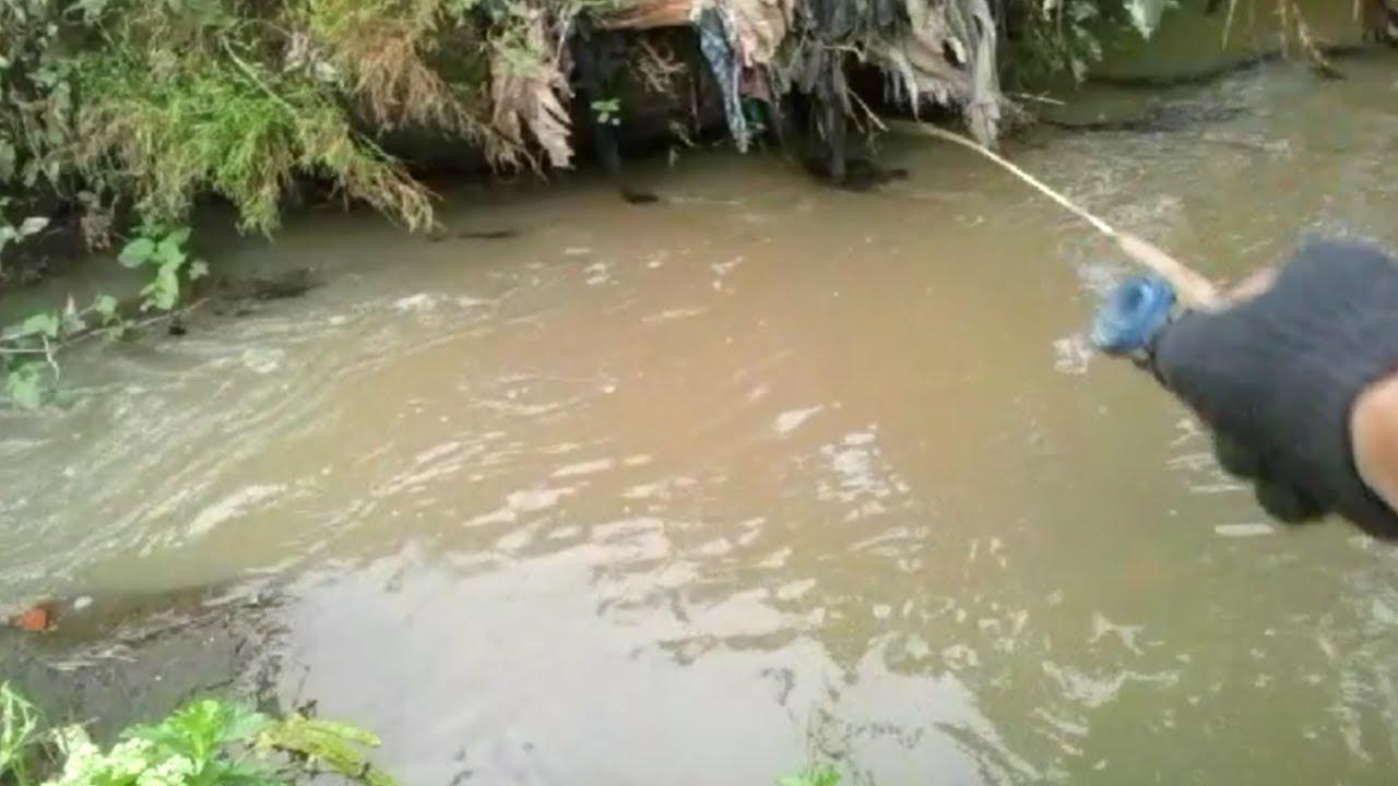 Detail Umpan Mancing Di Sungai Kecil Nomer 21