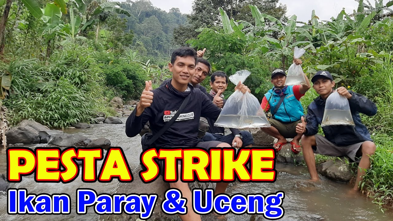 Detail Umpan Mancing Di Sungai Kecil Nomer 33