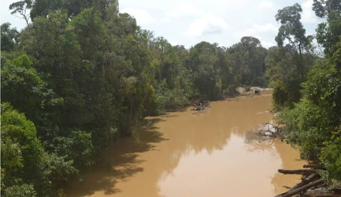 Detail Umpan Mancing Di Sungai Kecil Nomer 50