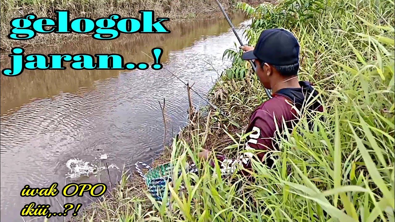 Detail Umpan Mancing Di Sungai Kecil Nomer 10