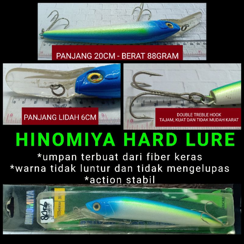 Detail Umpan Rapala Untuk Ikan Tenggiri Nomer 40