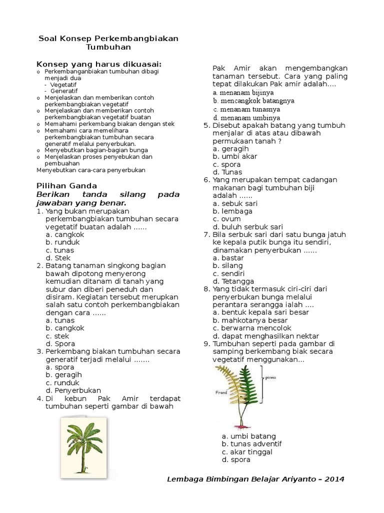 Detail 10 Contoh Tumbuhan Yang Berkembang Biak Secara Generatif Nomer 52