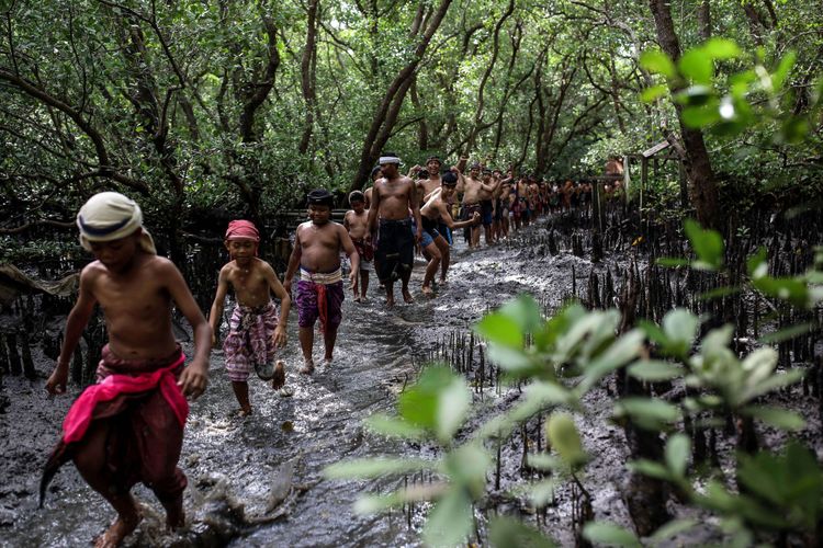 Detail 10 Hutan Mangrove Indonesia Beserta Pengertian Dan Gambar Nomer 15