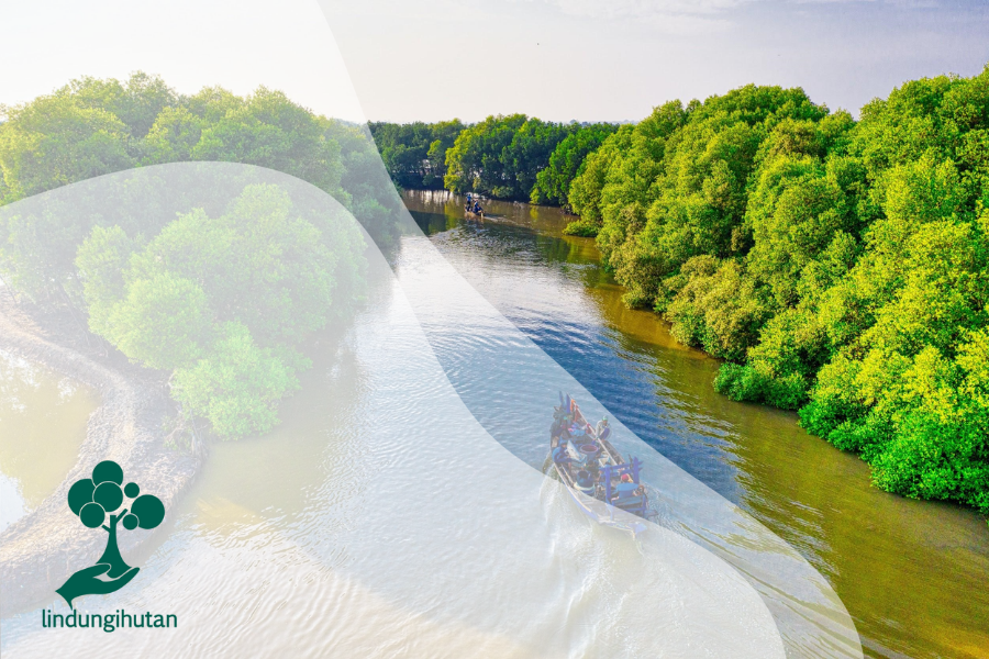 Detail 10 Hutan Mangrove Indonesia Beserta Pengertian Dan Gambar Nomer 42