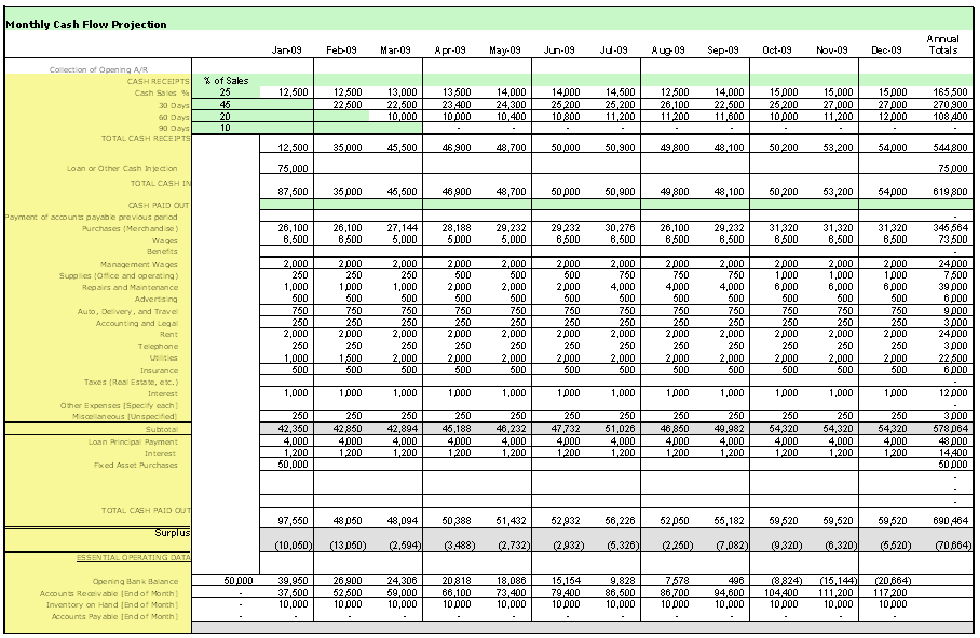 Detail 12 Month Profit And Loss Projection Template Nomer 31