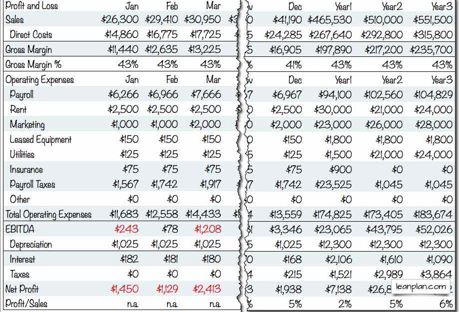 Detail 12 Month Profit And Loss Projection Template Nomer 6