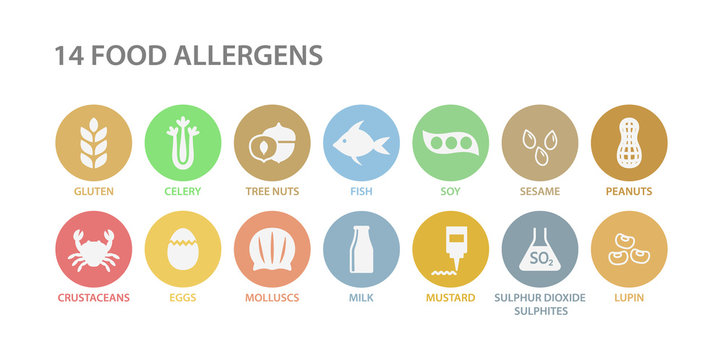 Detail 14 Allergens Template Nomer 23