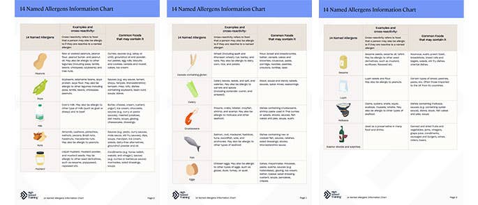 Detail 14 Allergens Template Nomer 24