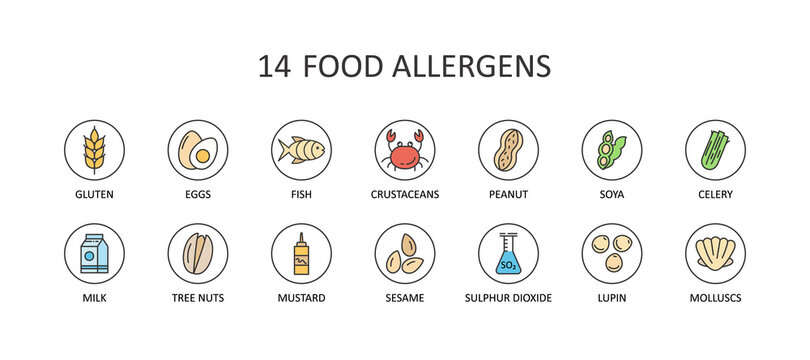 Detail 14 Allergens Template Nomer 36