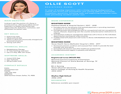 Detail 2019 Cv Template Nomer 33