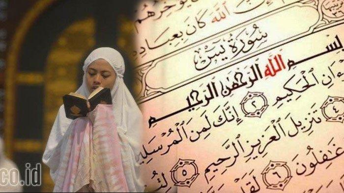 Download 3 Ayat Terakhir Surat Al Baqarah Beserta Artinya Nomer 45