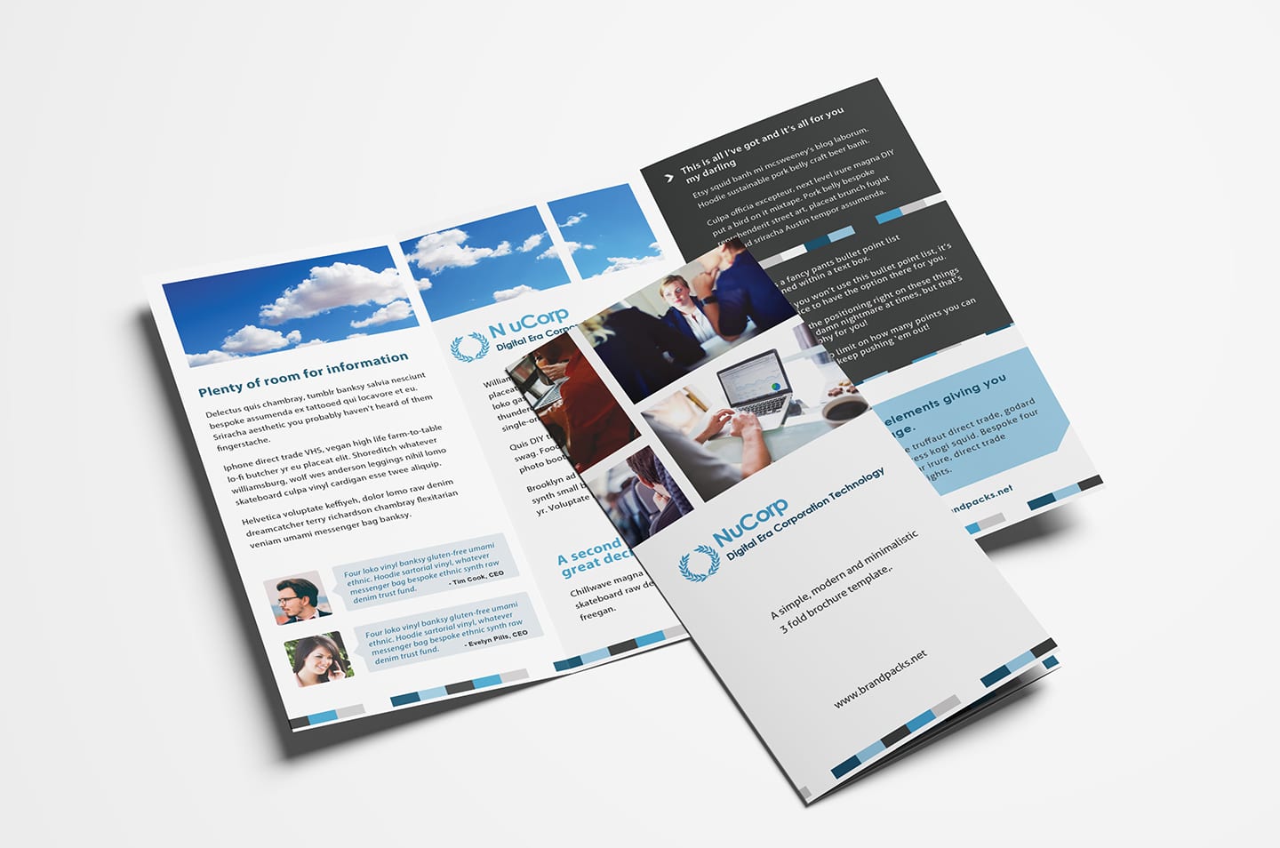 Detail 3 Panel Brochure Template Nomer 19