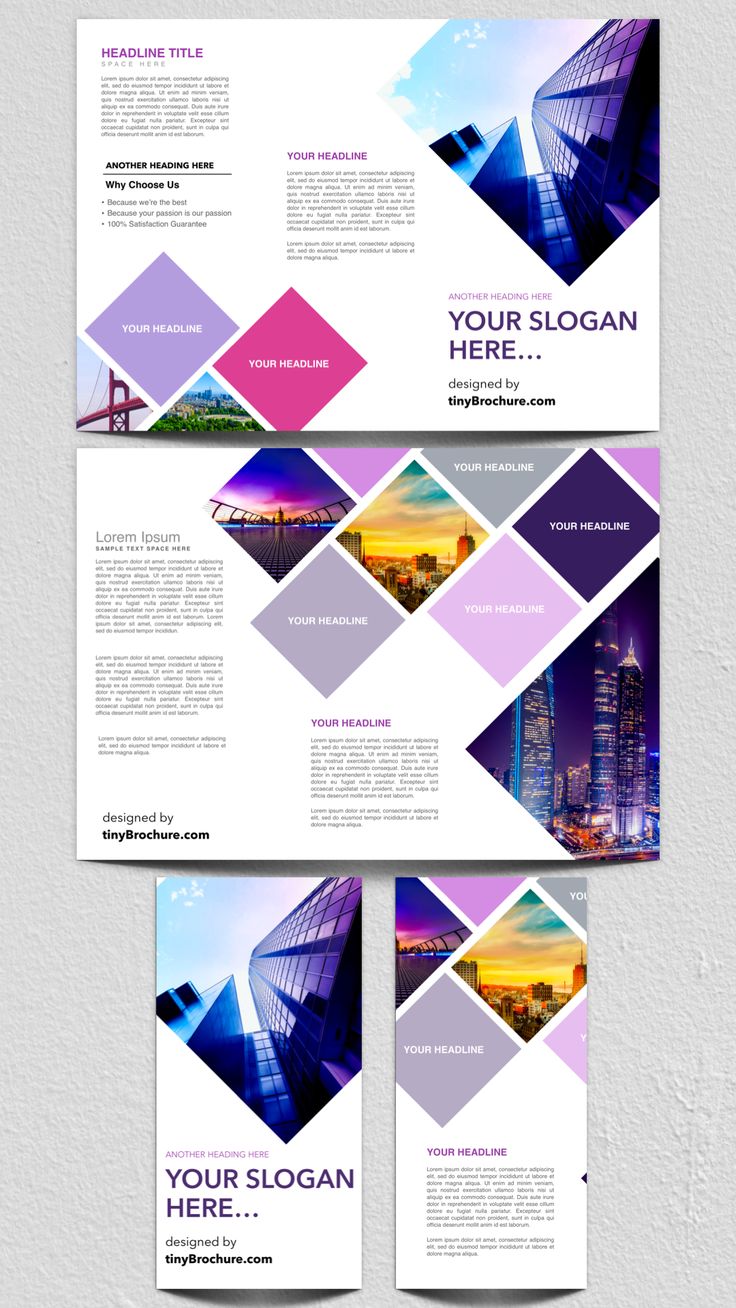 Download 3 Panel Brochure Template Nomer 22