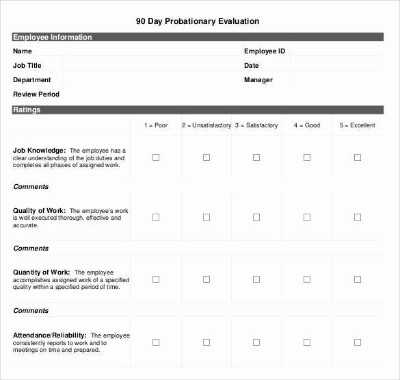 Detail 30 60 90 Day Employee Performance Review Template Nomer 28