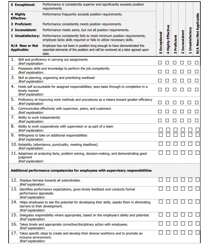 Detail 360 Appraisal Form Template Nomer 52