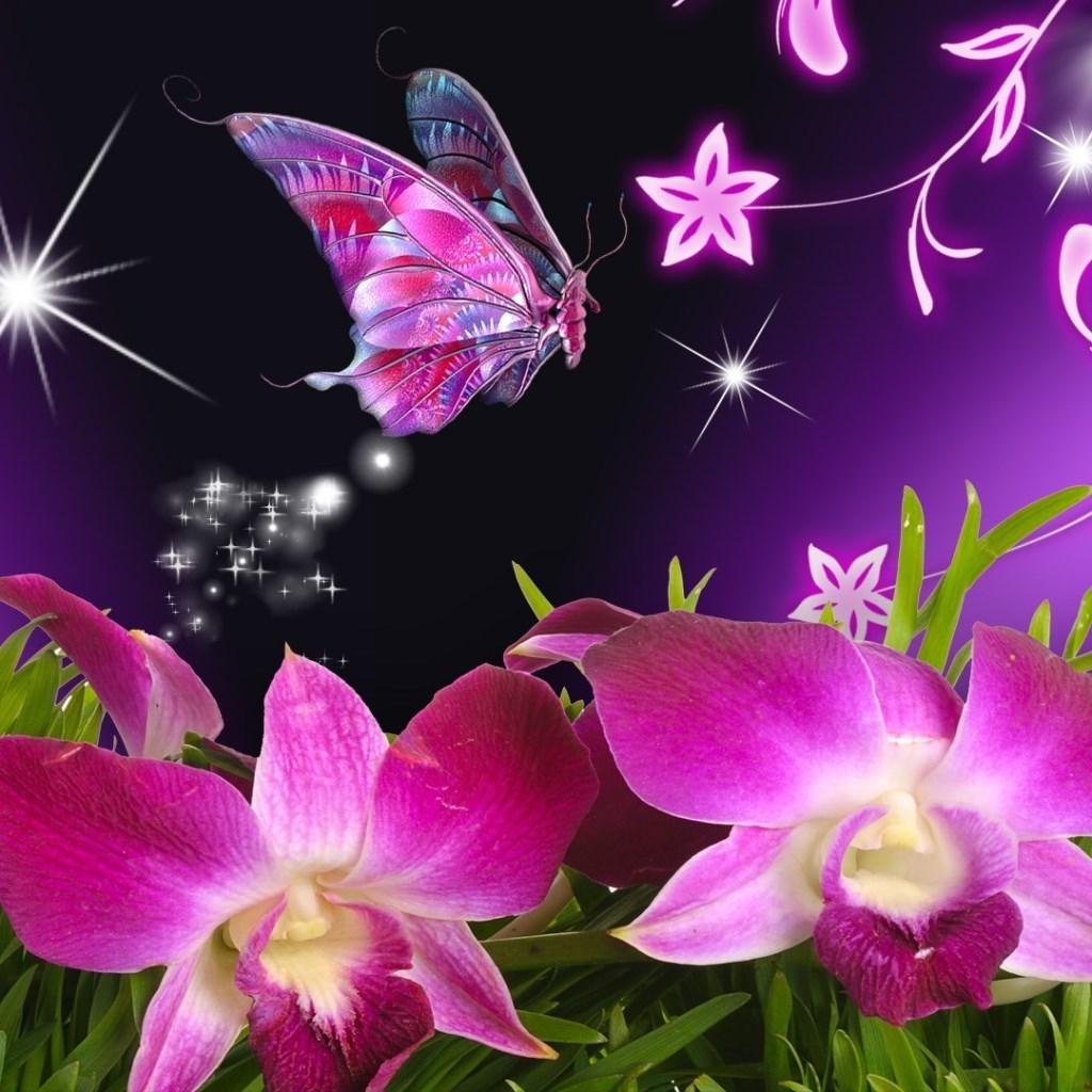 Detail 3d Butterfly Live Wallpaper Nomer 17