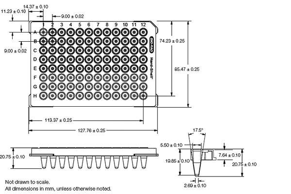 Detail 48 Well Plate Template Nomer 6