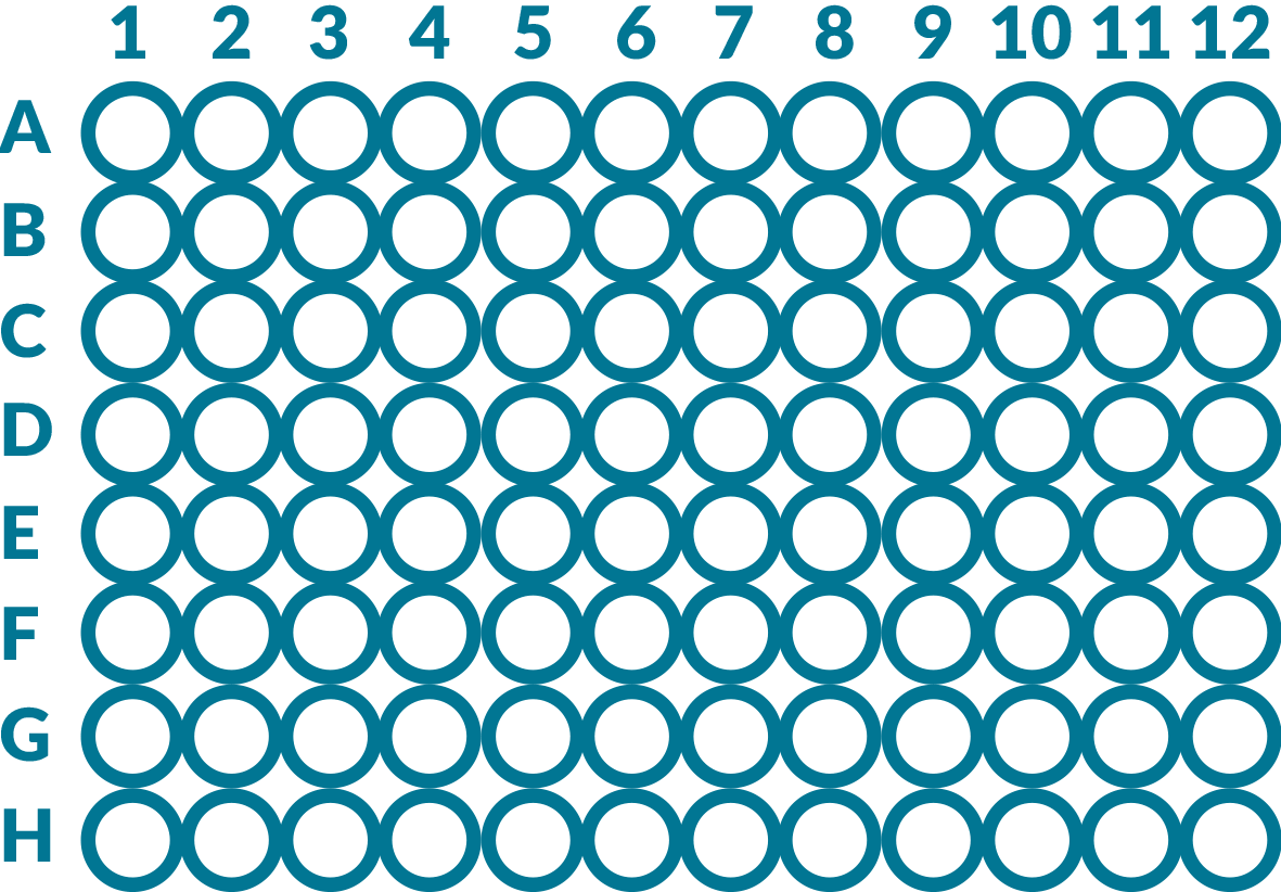 Detail 48 Well Plate Template Nomer 13