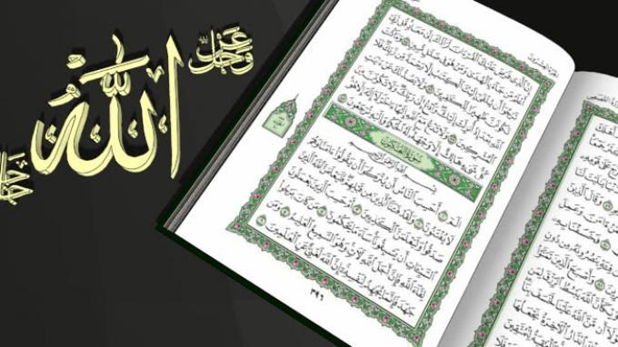 Detail 7 Surat Alquran Untuk 7 Bulanan Nomer 33