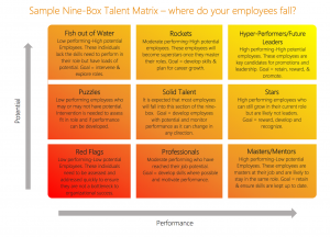 Detail 9 Box Talent Grid Template Nomer 44