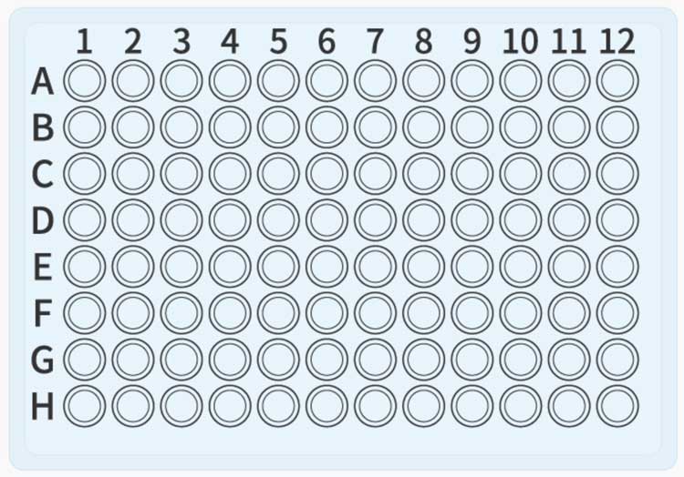 Detail 96 Well Plate Template Nomer 8