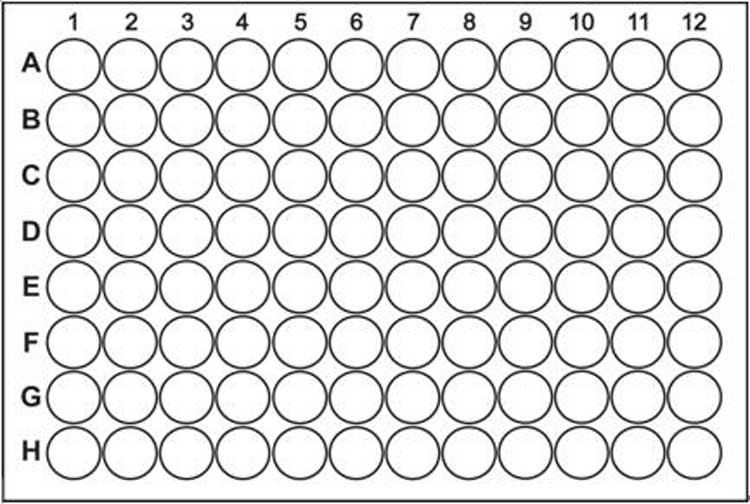 Detail 96 Well Plate Template Nomer 11