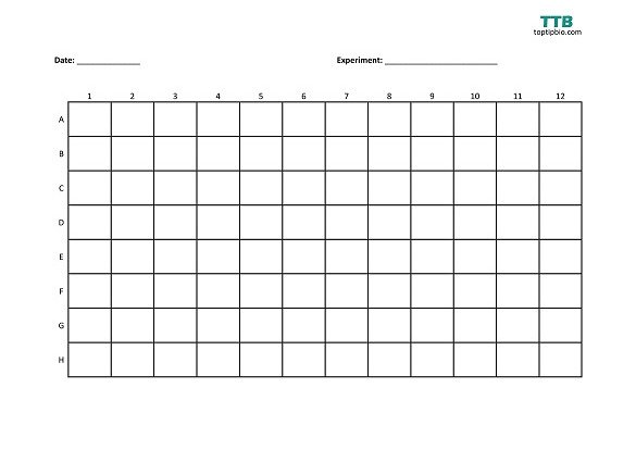 Detail 96 Well Plate Template Nomer 7