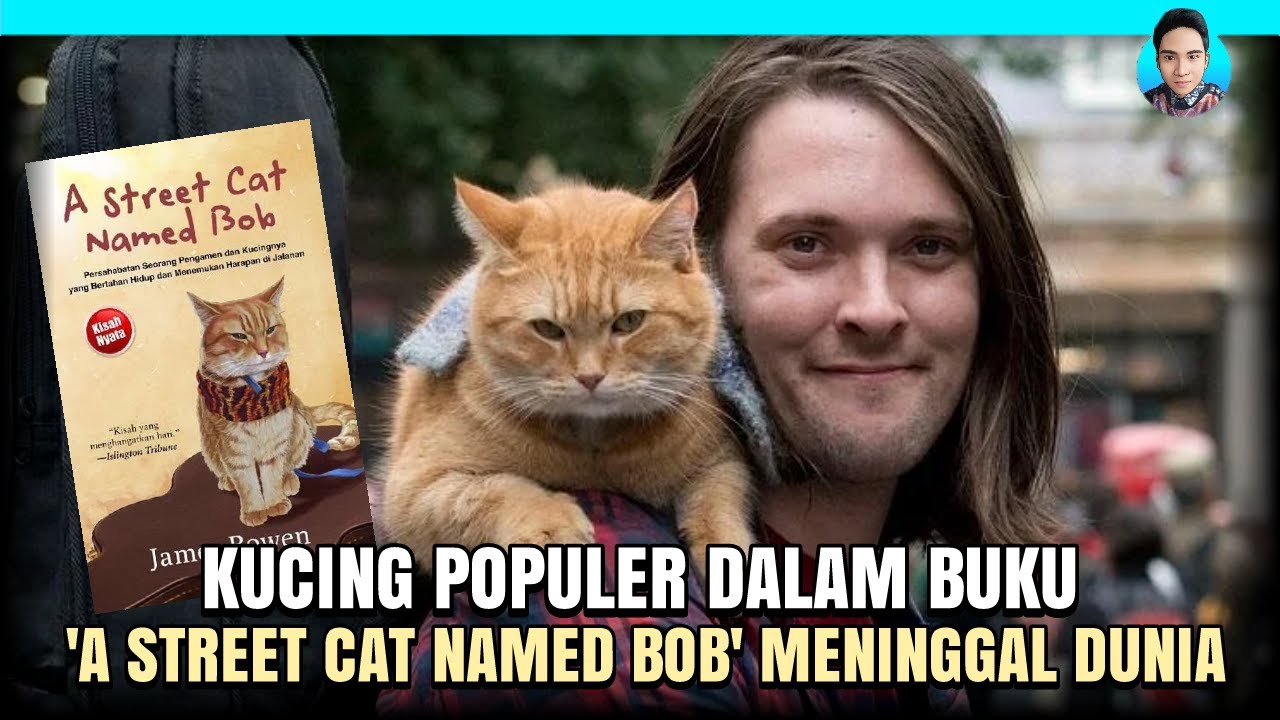 Detail A Street Cat Named Bob Buku Nomer 26