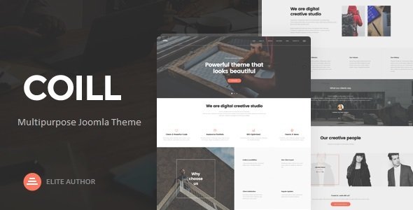 Detail Aaika Joomla Template Nomer 9