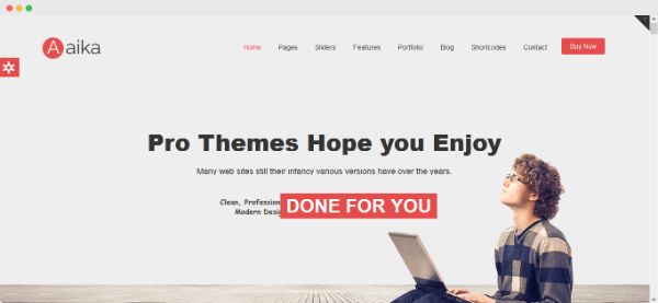Detail Aaika Joomla Template Nomer 12