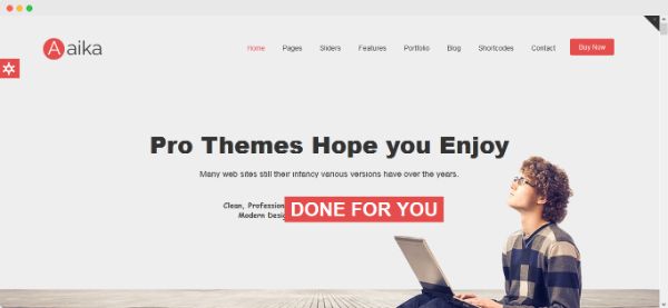 Detail Aaika Joomla Template Nomer 12