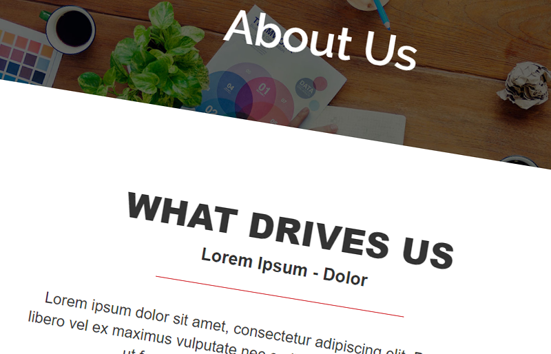 Detail About Us Template Html Nomer 9