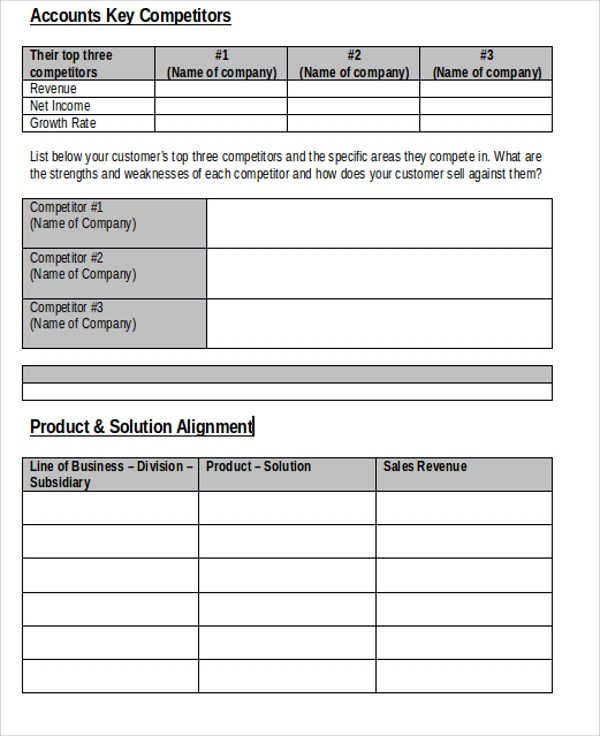 Detail Account Planning Template For Sales Nomer 11