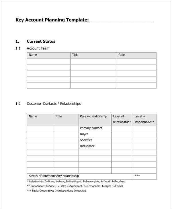 Detail Account Planning Template For Sales Nomer 13